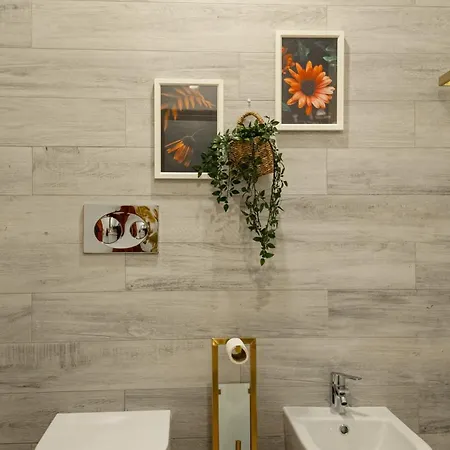 Aurora Do Furadouro L *