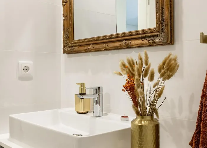 Aurora Do Furadouro L 오바