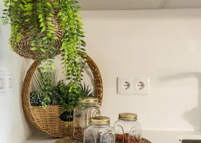 Aurora Do Furadouro L *