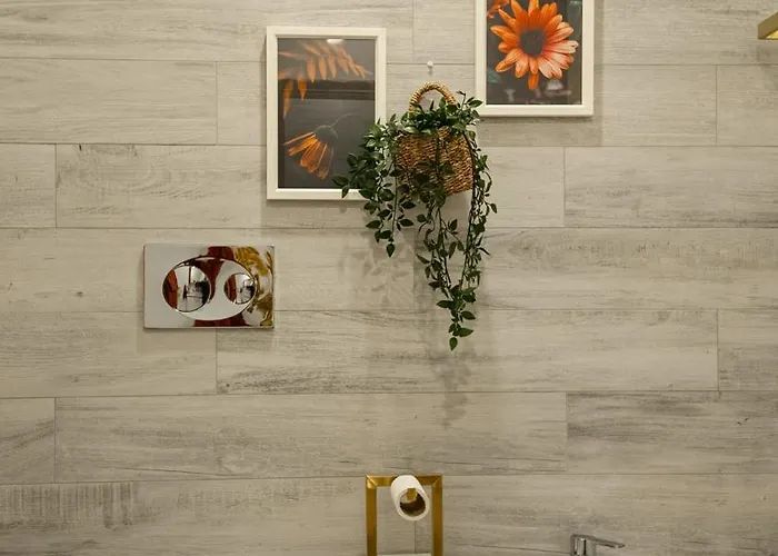 Aurora Do Furadouro L *